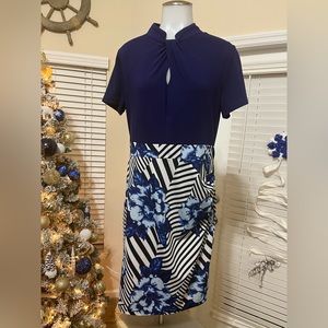 Homeyee dress (stretchy)